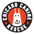 Canine Rescue Donor